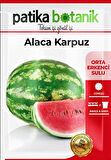 100 Adet Alaca Karpuz Tohumu