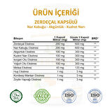 Zerdeçal Kapsül (Turmeric Capsule)