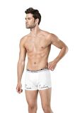 Pierre Cardin Baskılı Erkek Stretch Boxer
