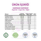 Harpago Kapsül (DEVİL'S CLAW CAPSULE)