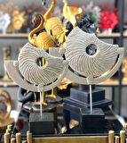 2 Li Kaideli Halka Biblo Viking Kalkanı Obje Modern Özel Tasarım