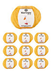 10 Adet Amigurumi El Örgü İpi 50gr 317