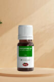 Çılgın Bakkal Kabak Çekirdeği Yağı 20ml