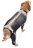 Orta ve Büyük Irk Köpek Tulum - Skeleton