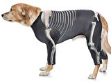 Orta ve Büyük Irk Köpek Tulum - Skeleton