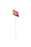 Türk Bayraklı Altın Rozet