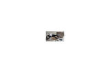 TRIGER SETI ASTRA F CORSA B VECTRA B X14XE X16XEL Z16XE X18XE1 Z18XE