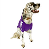 Adidog Purple Hoodie Kapşonlu Sweatshirt Orta ve Büyük Irklar İçin