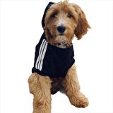 Siyah Adidog Kapşonlu Sweatshirt, Orta ve Büyük Irklar İçin