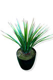 Yapay Agave Bitkisi 60 cm