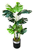 Monstera Yapay Ağaç 3 Gövde 170-175 Cm