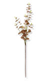 Yapay Okaliptus Tek Dal 93 Cm