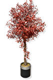 Yapay Kırmızı Zeytin Ağacı 160 Cm