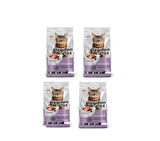 Somonlu Kısırlaştırılmış Kedi Maması 2 KG X 4 ADET