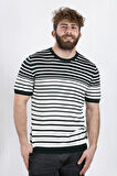 ALEXANDERGARDI ÇİZGİLİ TRIKO T-SHIRT  (AG504802)