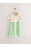 Next Baby Pamuklu Sage Green Floral Kısa Kollu Tütülü Elbise