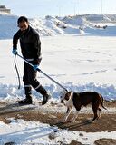 Köpek Yakalama Aleti 150 cm