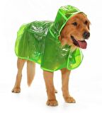 Köpek Büyük Irk Yağmurluk Otso Şeffaf Yeşil