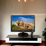 Rose 19"inch 49 Ekran HD LCD Çok Amaçlı Monitör Tv Dahili Hoparlör + Kumanda