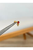 316 L Cerrahi Çelik Kırmızı ZirkonTaşlı Conch Kıkırdak Helix Dudak Tragus Piercingi