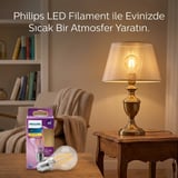 LED Filament Rustik Ampul E27 7W Cam Gövde