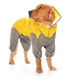 Matabor Dişi Köpek Yağmurluk