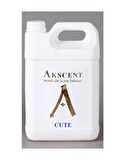 Akscent Cute Tüm Koku Makinelerine Uyumlu Koku Makinesi Koku Kartuşu Esansı 5 LT .