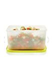 Tupperware Alaska Saklama Kabı 2.5 lt