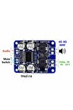 Tpa3118 60w Mono Digital Ses Amfi Modül Dc 12v-24v Tek Kanal Class D Amplifikatör Amfi Amplifier