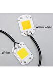 220v 50w Power Led Gün Işığı Warm White Projektör Cob Led Driver