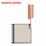 868Mhz Helical Yay Anten 2.15dBi Kazanç Rf Haberleşme Kablosuz İletişim Lehimlenebilir Tip Bakır