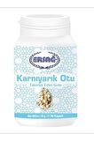 Ersağ Karnıyarık Otu