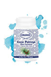 Ersağ Cüce Palmiye (saw Palmetto)