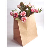 Kese Kraft 22x28x11 Cm Kare Dipli 250 ADET