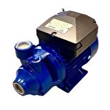 TM80 0.8 HP 220V Preferikal Sürtme Fanlı Bronz Yataklı Krom Milli Su Pompası - Bakır Sargı