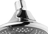 Artema Therapy A45634 5F Duş Başlığı Krom