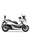 Motosiklet Arka Shad Sissybar Honda Forza 250-300 (18-20) Sissybar Sissy Bar Motor Arka Yaslanma