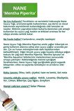 Nane Yağı %100 Doğal Bitkisel Uçucu Yağ Peppermint Oil 10ml
