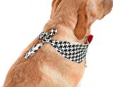 Orta ve Büyük Irk Köpekler için Yakalık Bandana Morjop