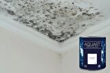 Humiguard Nem,Küf ve Rutubet İzolasyon Boyası 3 Kg