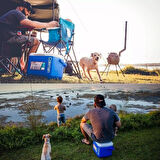 Soğutucu Buzluk - Coleman - Performance Tri Color 16 QT - 15 lt - Mavi