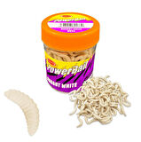 Silikon Kurt Balık Yemi - Kokulu - Maggot - Beyaz - Power Bait (9954)