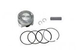Cbf 150 Piston Sekman