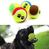  3lü Renkli Desenli Tenis Topu Kedi Köpek Oyuncağı
