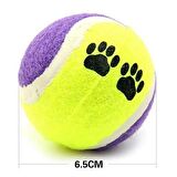  3lü Renkli Desenli Tenis Topu Kedi Köpek Oyuncağı