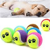  3lü Renkli Desenli Tenis Topu Kedi Köpek Oyuncağı