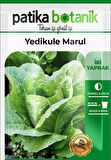1.500 Adet Ata Tohumu Yerli Yedikule Marul