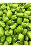 150 Adet Yerli Ata Kandil Dolma Biber Tohumu
