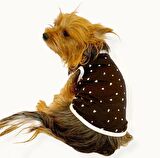 Black Hearts Atlet by Kemique Köpek Kıyafeti Köpek Elbise
