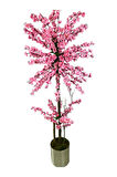 Atom Pembe Bahar Dalı 180 Cm 25x25 Metal Saksı